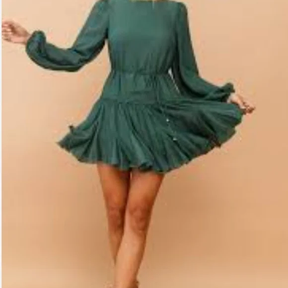 NWT, Once In A Blue Moon Dress Green, Size 6 (M) - Picture 9 of 11